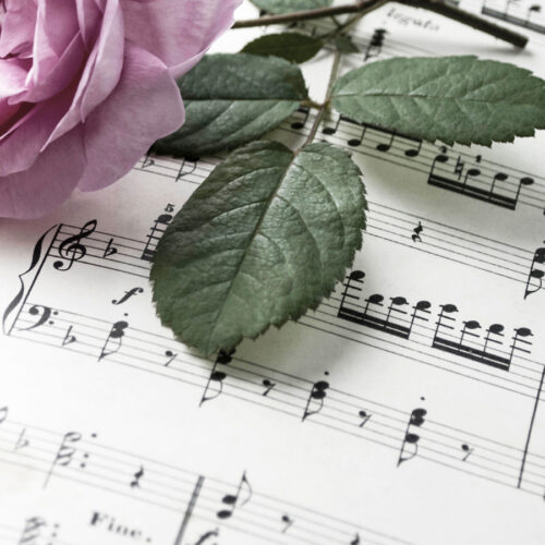 Alte Musiknoten mit erblühter Rose (Rosaceae), Liebeskummer, Tr