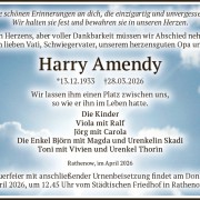 Harry Amendy